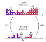 How does latent liquidity get revealed in the limit order book?